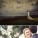 jenny+josh: hawaiian romantic cottage, kilauea – kauai, hawaii