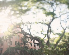 patricia+greg: the royal hawaiian – a luxury collection resort – waikiki, hawaii